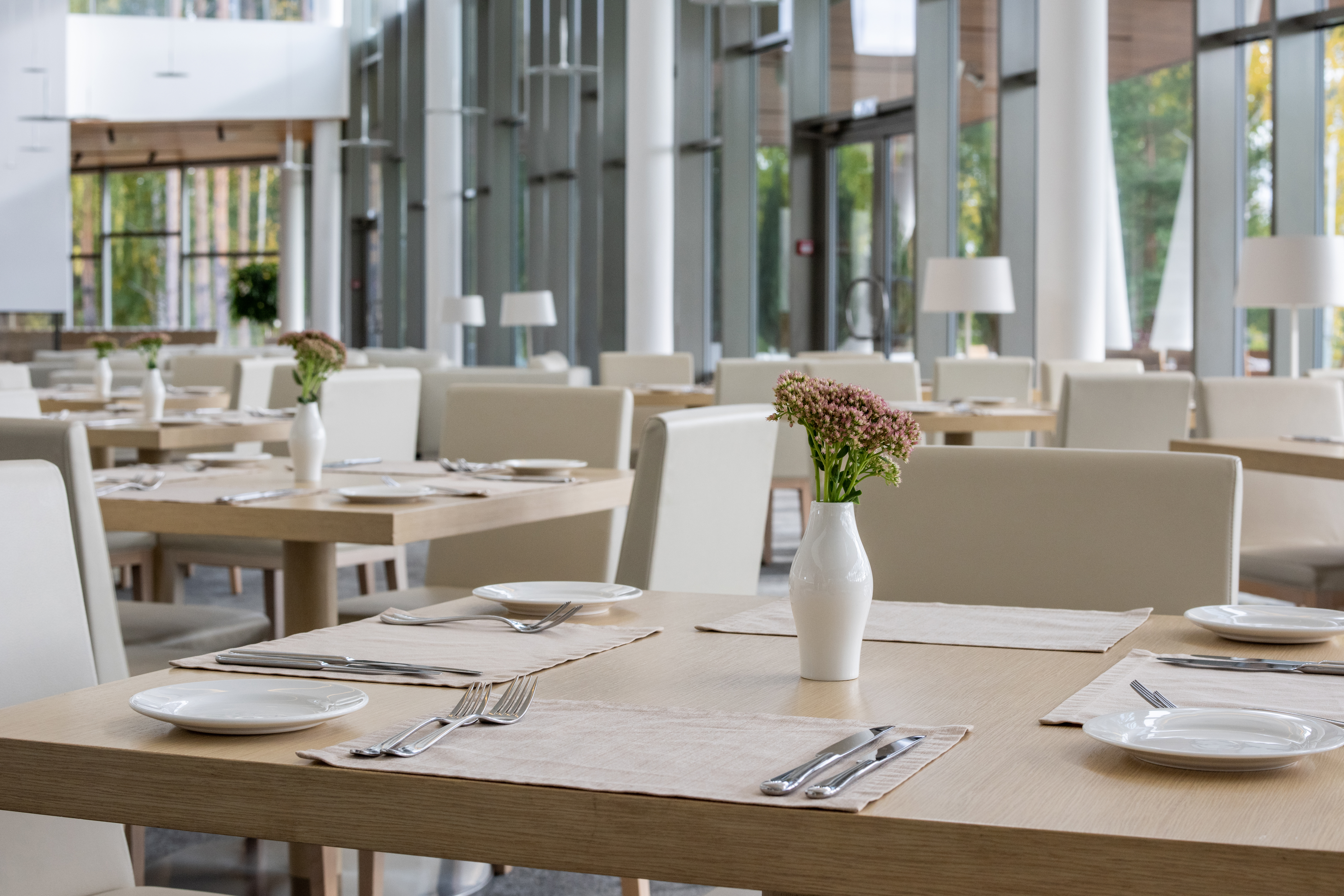row of dinner tables served with plates napkins a 2023 11 27 05 19 33 utc Restaurant and Café Cleaning row of dinner tables served with plates napkins a 2023 11 27 05 19 33 utc Restaurant and Café Cleaning