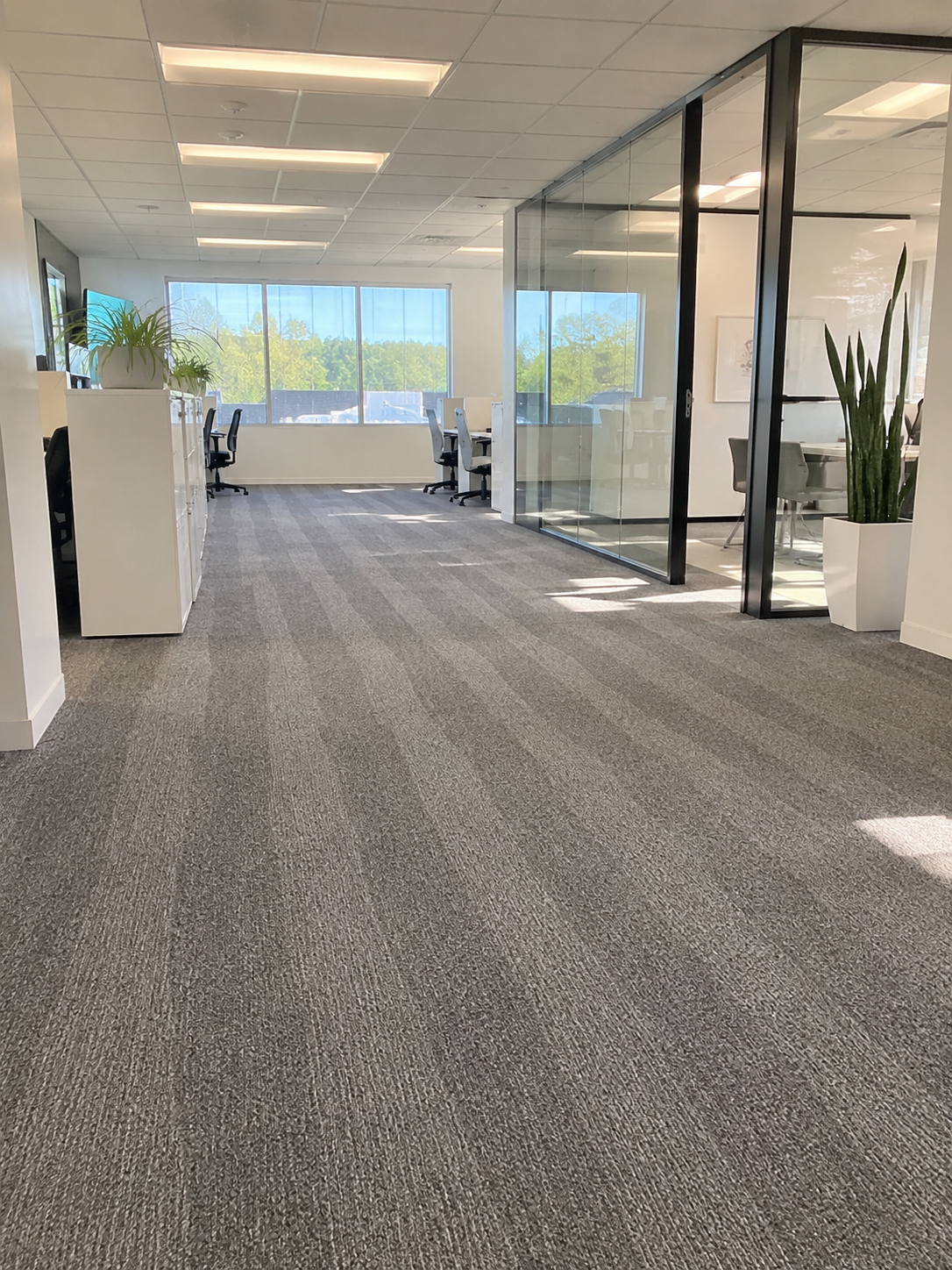Professionally cleaned modern office in Louisville, Kentucky